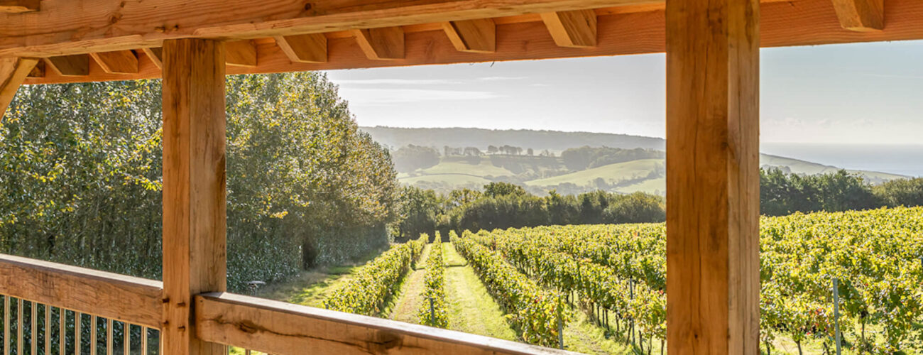 vineyards