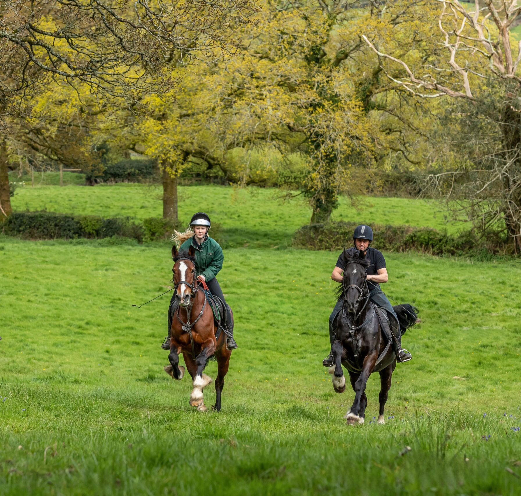 Horse & Pony Treks - Top Equestrian Holiday for the Family