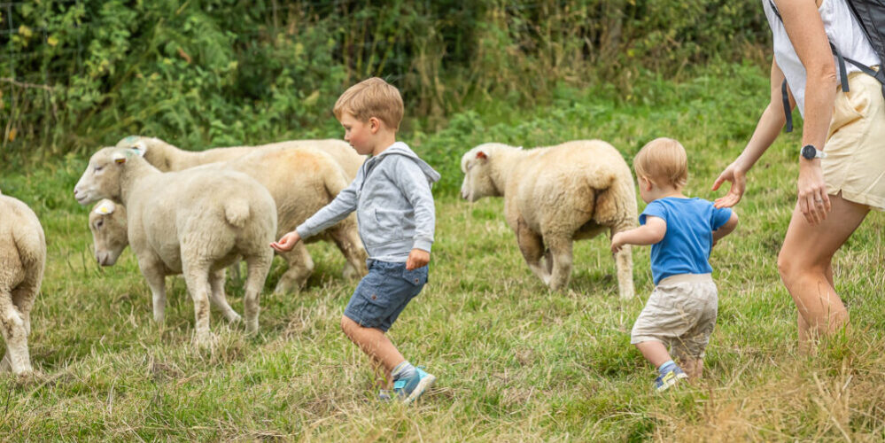 Louma Farm Kid with Sheep