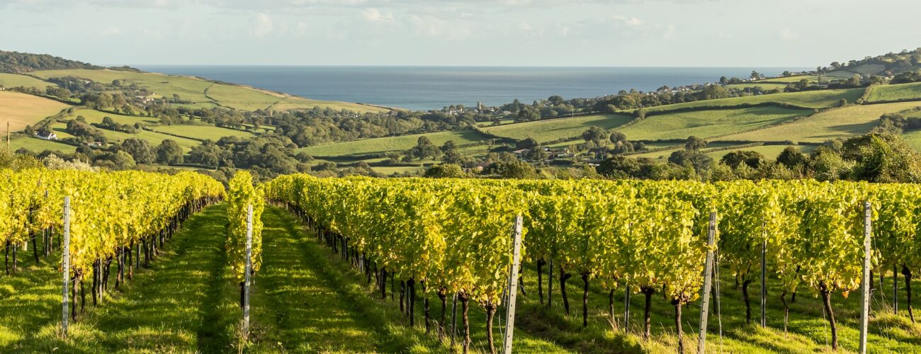 Louma Luxury Valentines day getaway in Dorset beautiful sea views